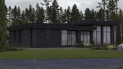 project-1