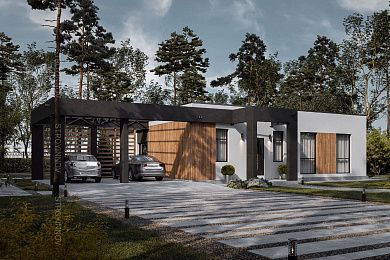 project-1