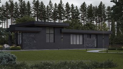 project-1